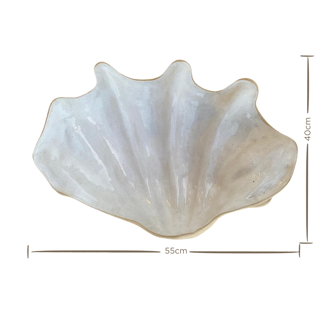 Concha G Tridacna
