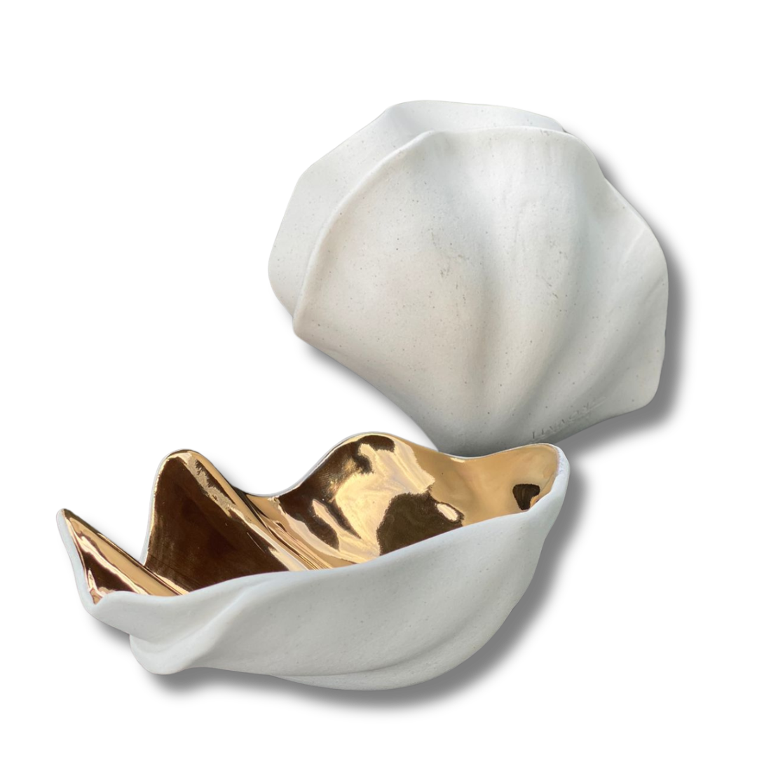 Concha MINI Tridacna OURO