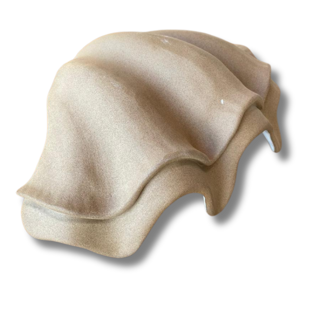 Concha P Tridacna TABACO
