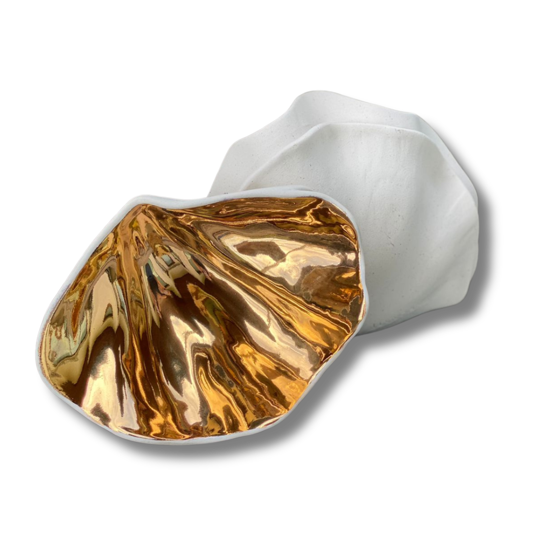 Concha MINI Tridacna OURO