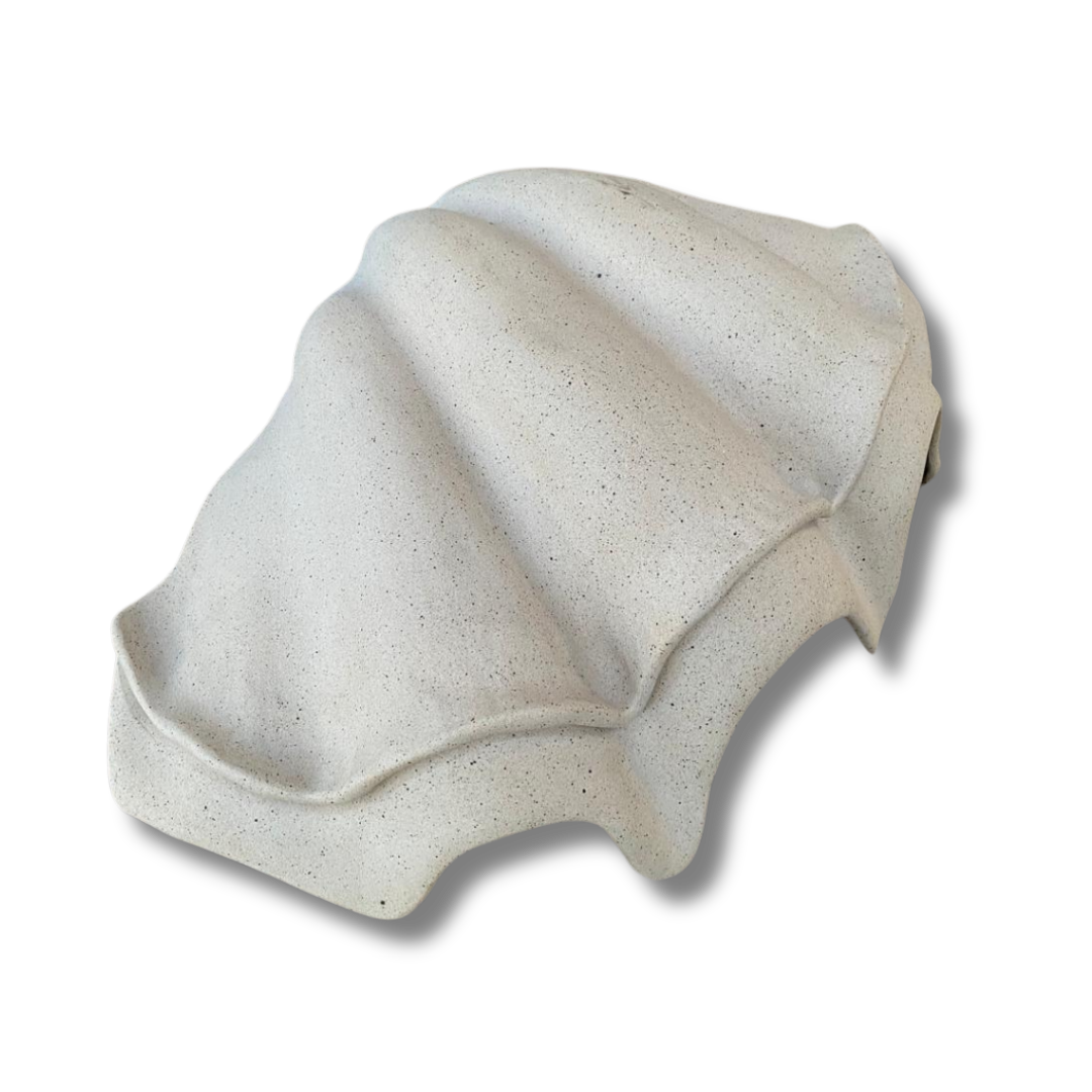 Concha G Tridacna
