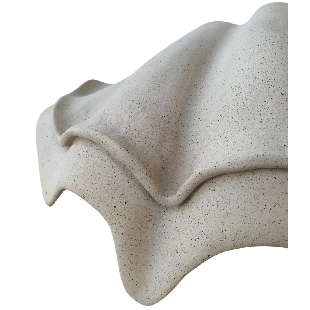 Concha G Tridacna