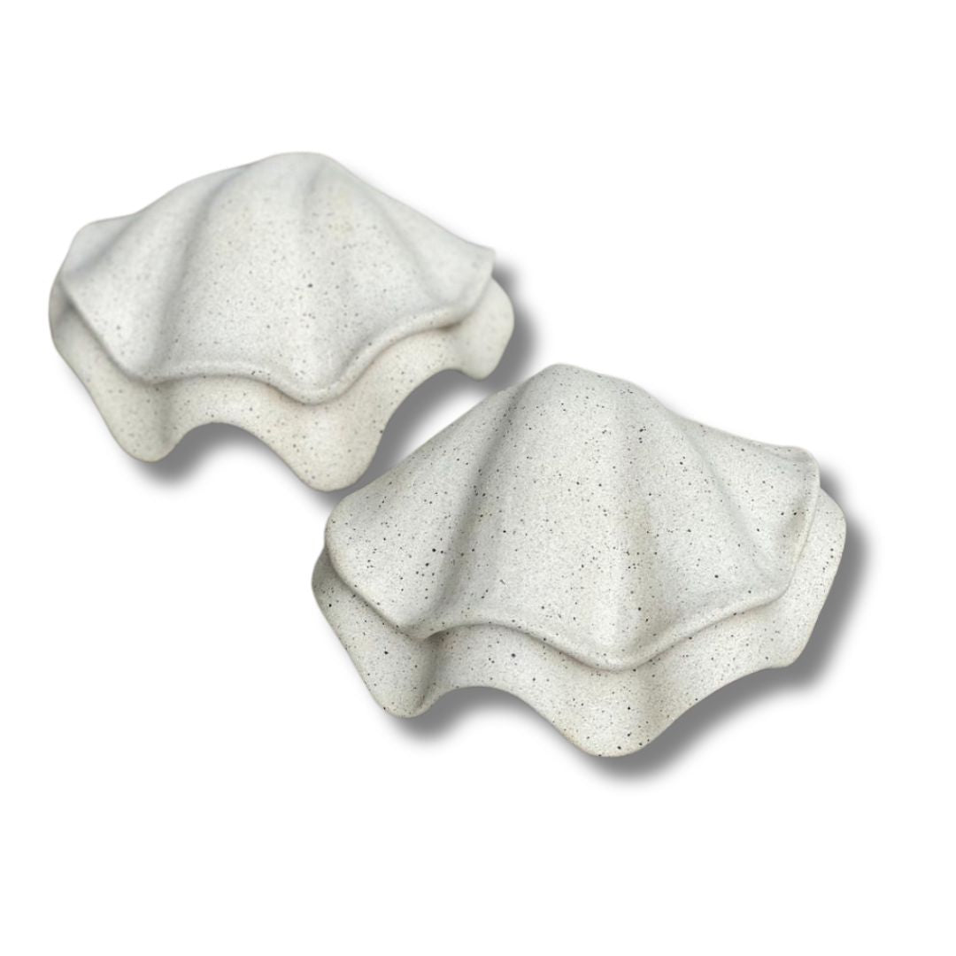 Concha MINI Tridacna