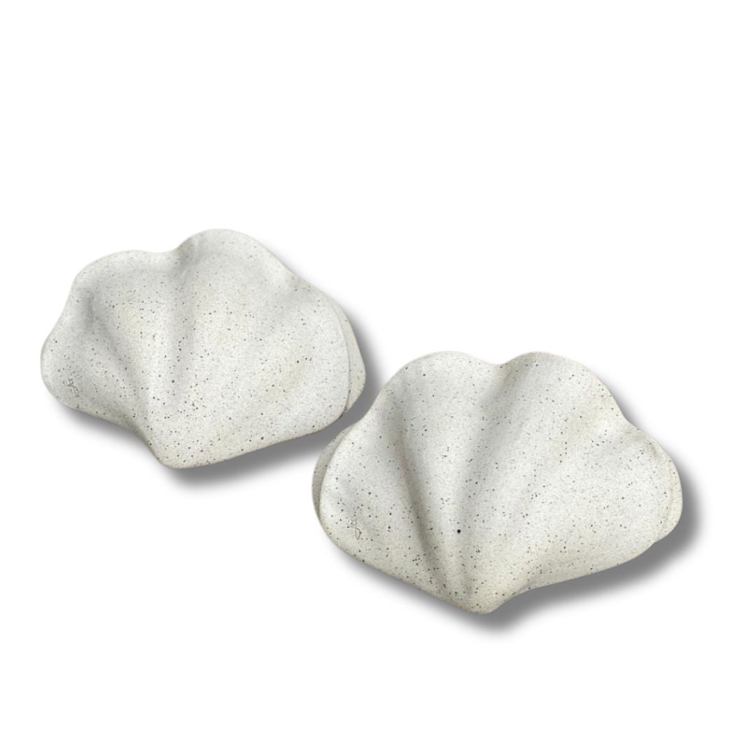 Concha MINI Tridacna