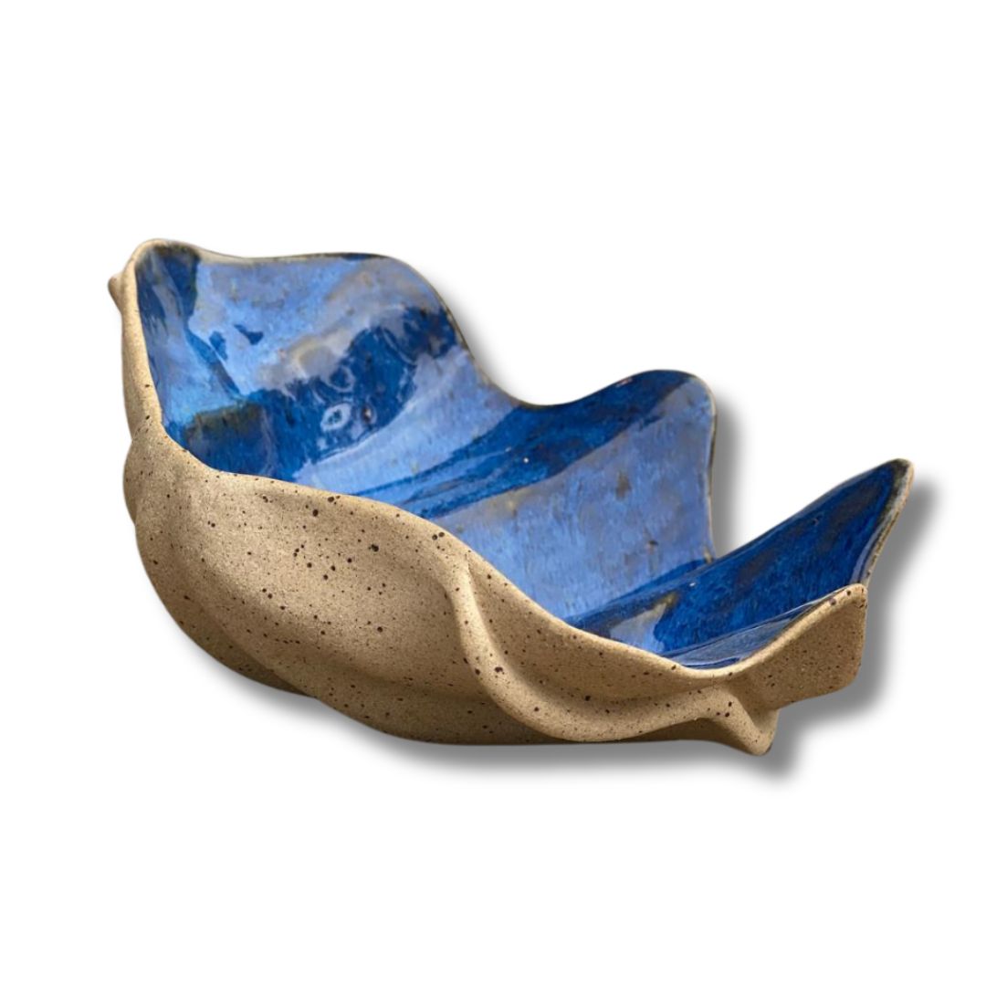 Concha PP Tridacna AZUL