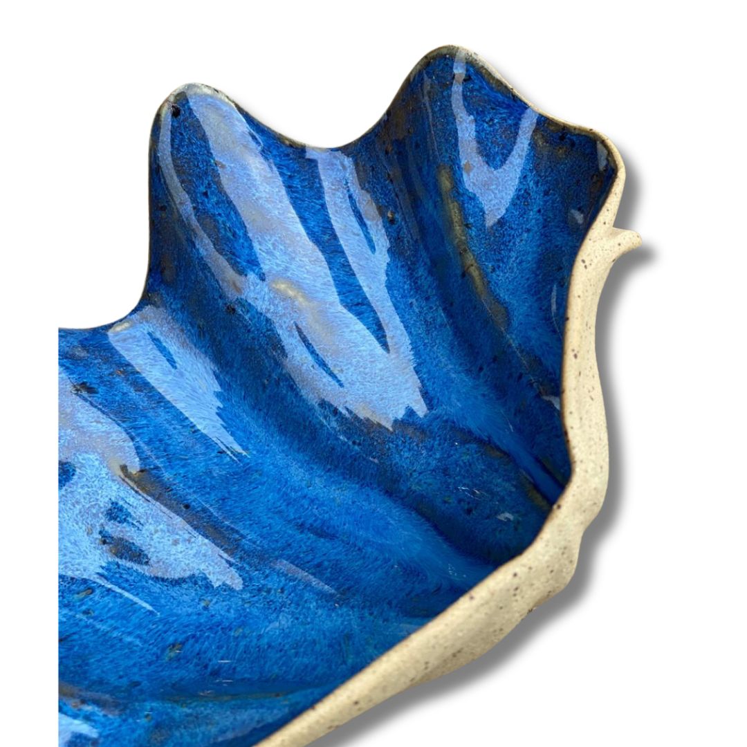 Concha PP Tridacna AZUL