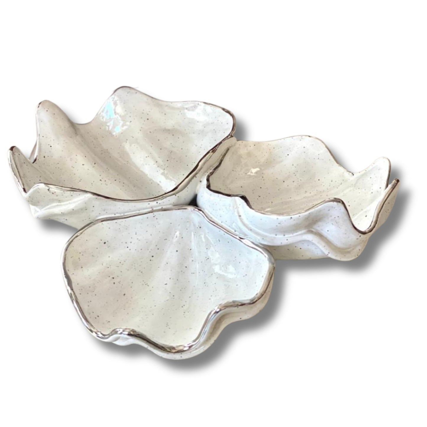Conchas Petisqueiras - PLATINA