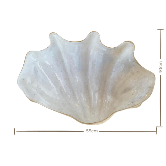 Concha Tridacna Imperial