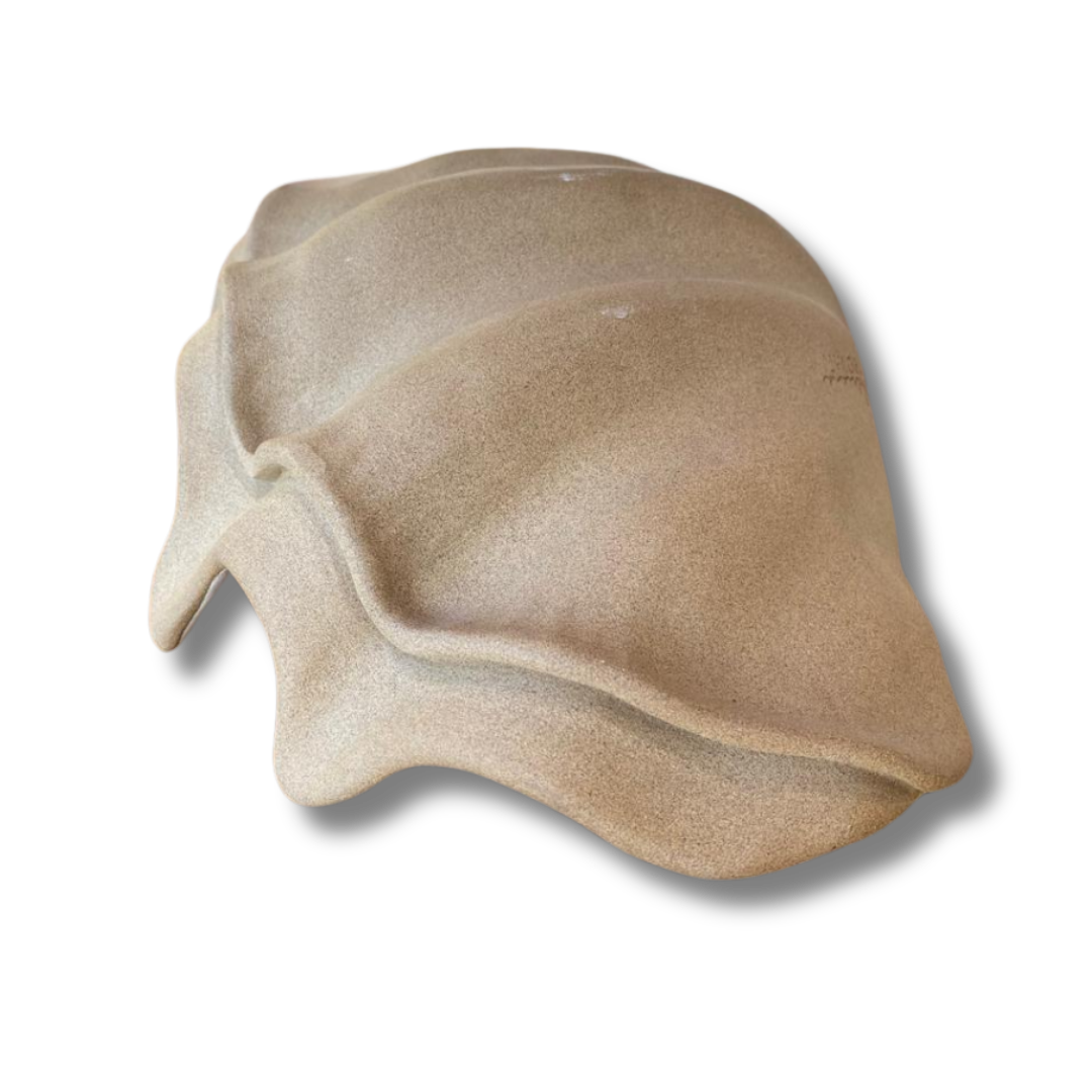 Concha P Tridacna TABACO