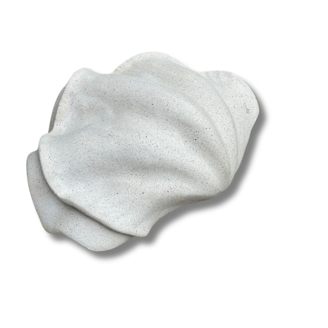 Concha PP Tridacna