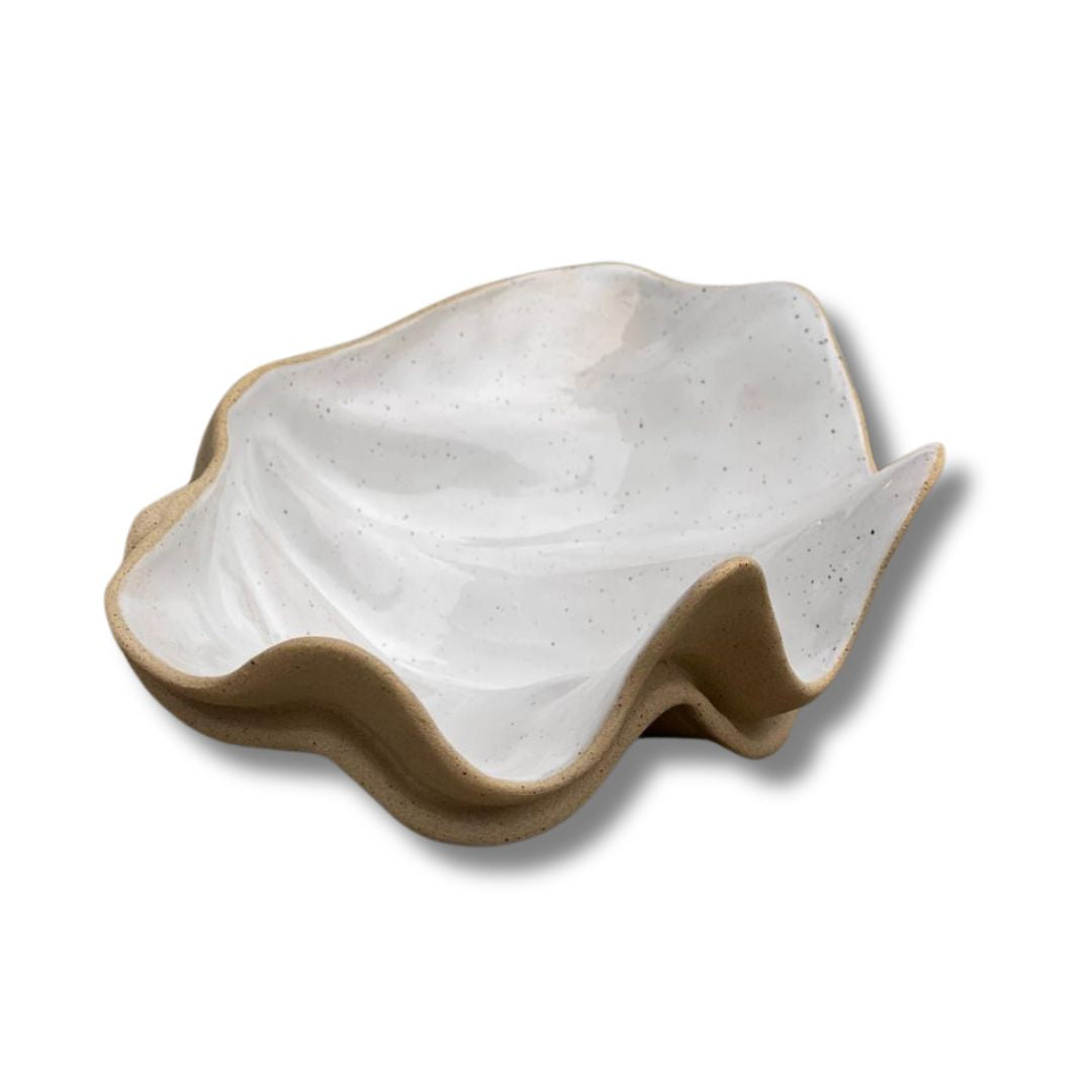 Concha PP Tridacna