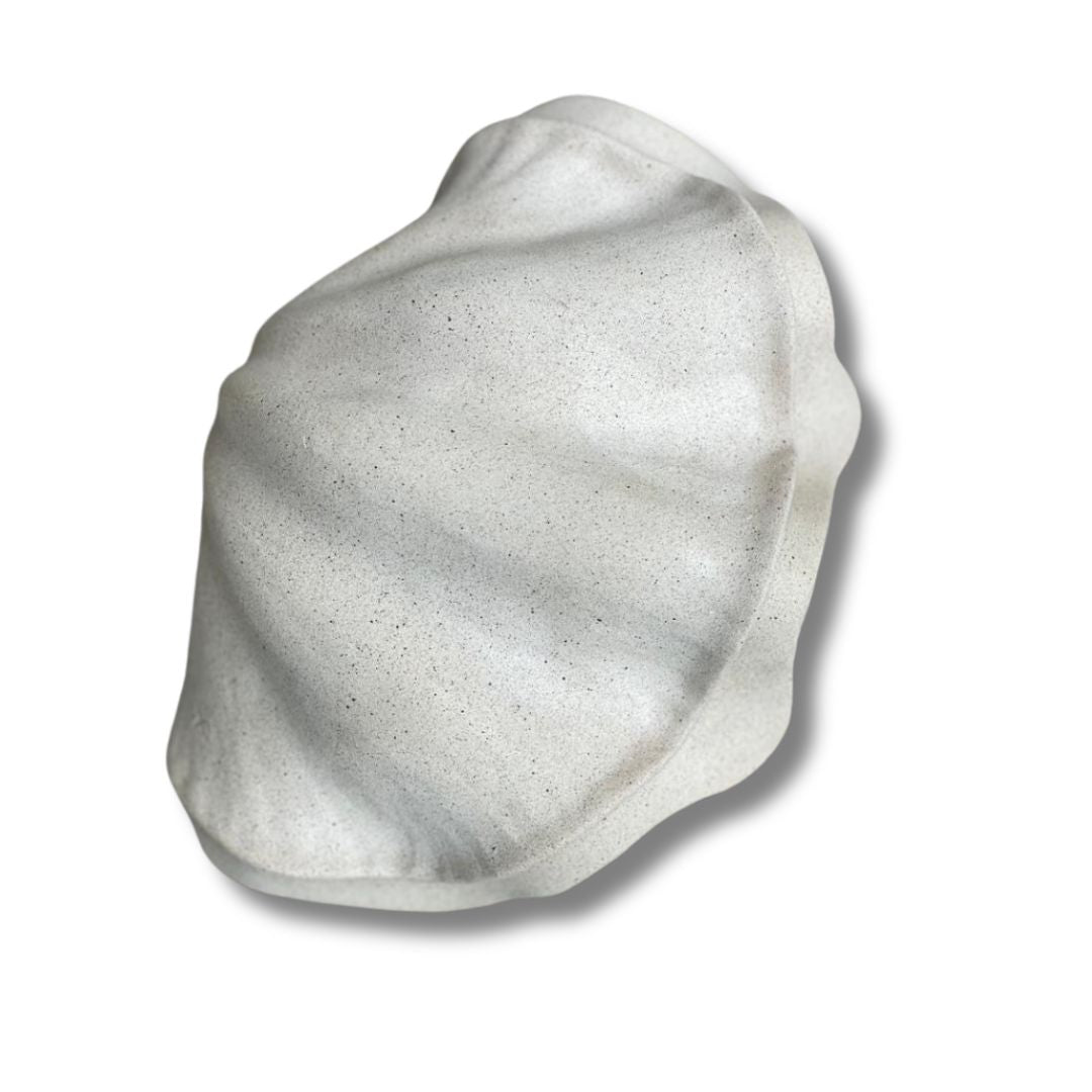 Concha PP Tridacna