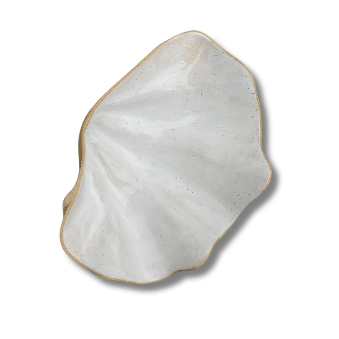 Concha PP Tridacna