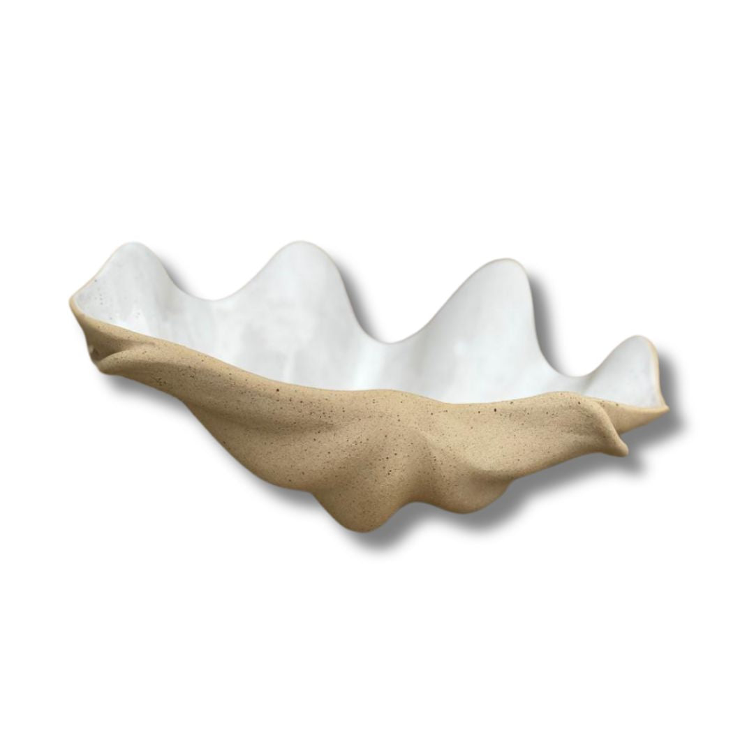 Concha PP Tridacna
